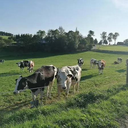 Eifelvilla Zur Kirsche - Wellness Und Lejlighed Burbach (Bitburg-Prum)