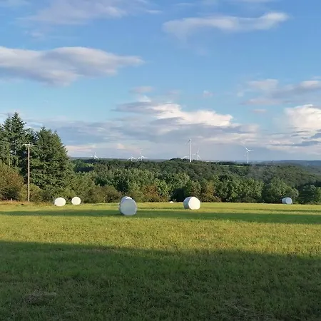 Lejlighed Eifelvilla Zur Kirsche - Wellness Und Burbach (Bitburg-Prum)